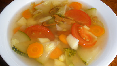 Zeleninový hrnec (dietní polévka)