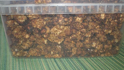 Domácí müsli s medem