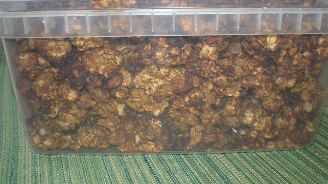 Domácí müsli s medem