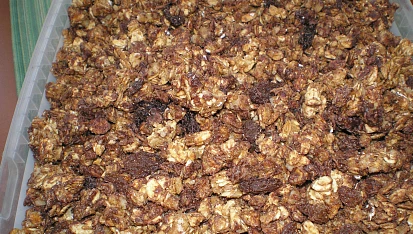 Domácí müsli s medem