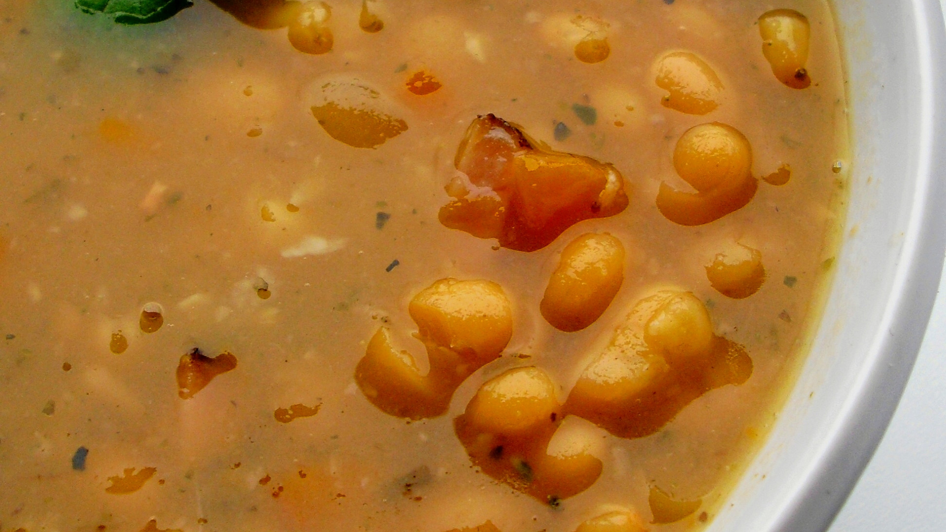 Fazolová blča z Oltecu“ aneb fazolová polévka ze Starého Brna
