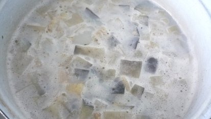 Lilková polévka s těstovinami