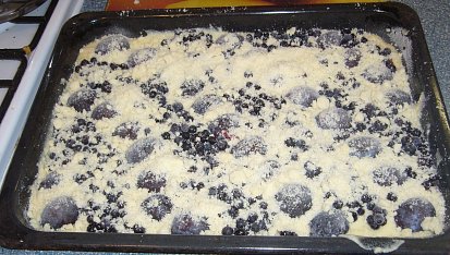 Švestkovo-borůvková buchtička