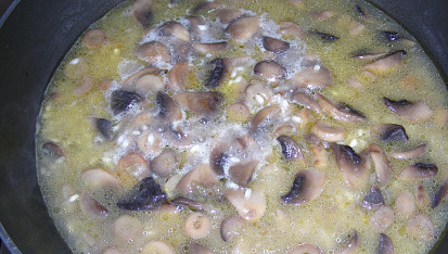 Houbové rizoto