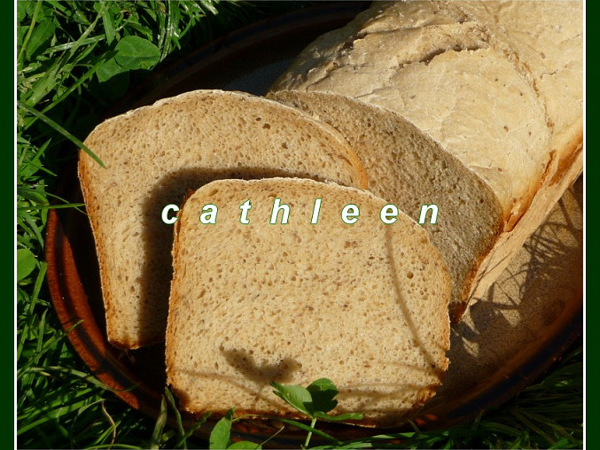 Rychlochleba s chlebovou směsí