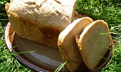Rychlochleba s chlebovou směsí
