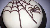 Dort pro arachnofobika