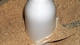 Houbový prášek