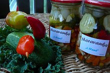 Moravanka "z Hané"