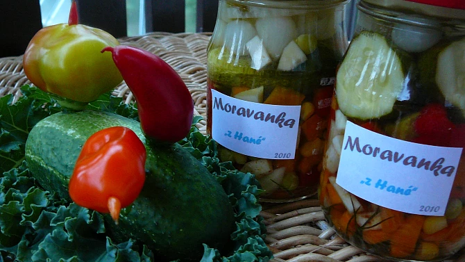 Moravanka "z Hané", Moravanka "z Hané"