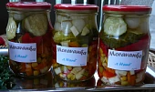 Moravanka "z Hané", k uskladnění...