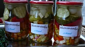 Moravanka "z Hané", k uskladnění...
