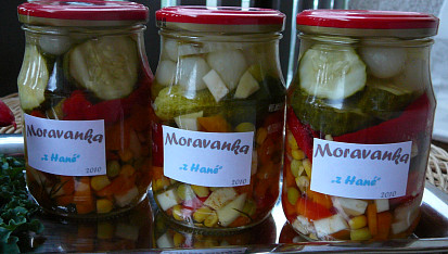 Moravanka "z Hané", k uskladnění...