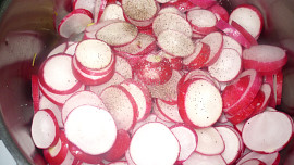 Ředkvičky jako mozeček