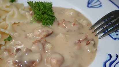 Jemné kuřecí ragú s květákem