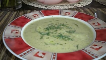 Okurková polévka