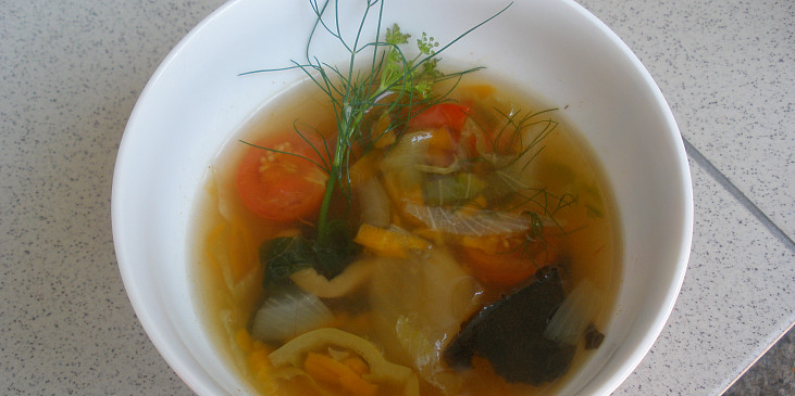 Zeleninová dietní polévka