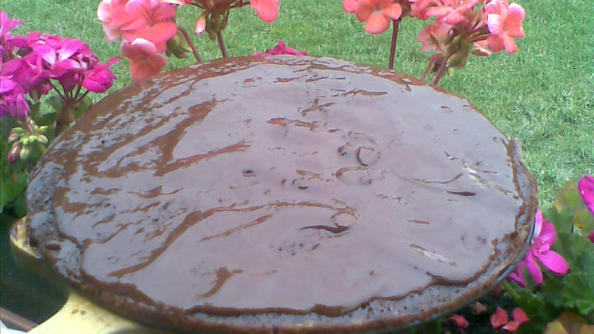 Kakaový koláč s pomerančovou šťávou