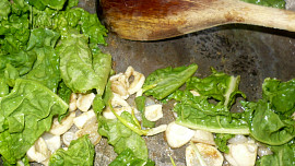 Těstoviny s mangoldem