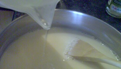 Domací tofu podle Vegetariánské kuchařky, Prilevani syridla - bod 5
