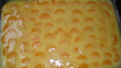 Mandarinkové řezy, zalité polevou