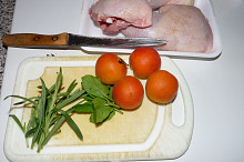 ingredience