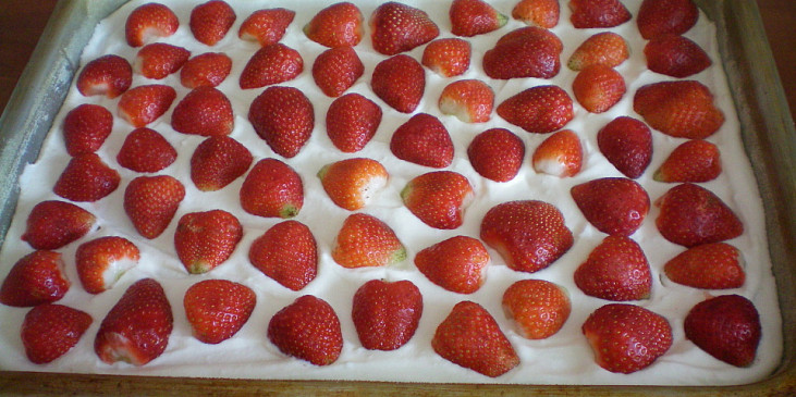 Vodnický koláč s jahodami (příprava před politím želé)