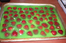 Vodnický koláč