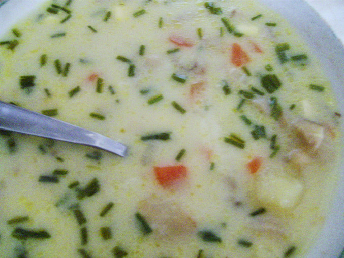 Smetanovo-sýrová polévka s hlívou, detail...