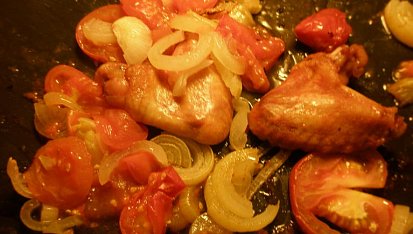 Křidýlka