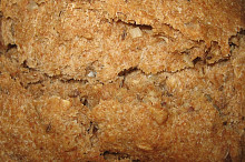 detail kůrky