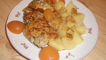 Očkované kuře pod nádivkou