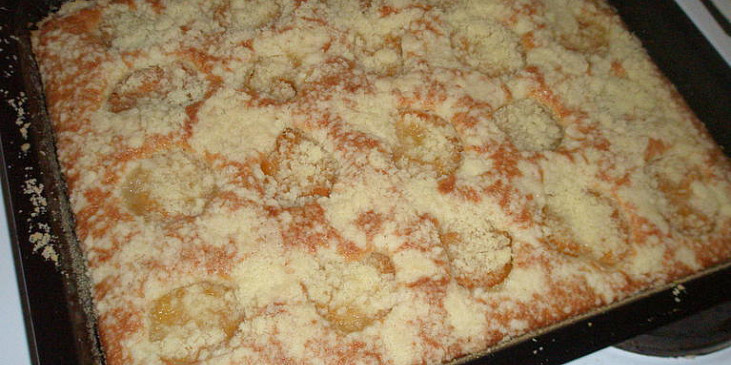 Meruňkový  koláč z pomazánkového másla