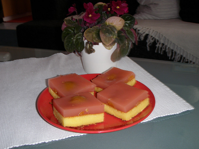 Osvěžující tvarohový koláč à la Mariolla