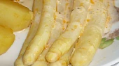Chřest  /hromový kořen/, 1