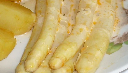 Chřest  /hromový kořen/, 1