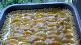Meruňkový koláč s karamelem
