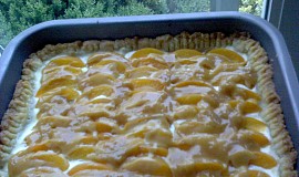 Meruňkový koláč s karamelem