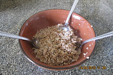 Horká pohanka