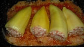 Plněná paprika v zelí