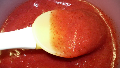 Sorbet z jahod