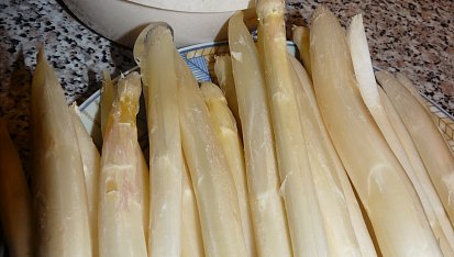 Chřest se žampiony a ředkvičkami s petrželkovým zásypem