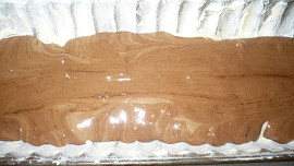 Dvojbarevný srnčí hřbet