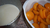 Hrníčkové meruňkové řezy, druhá polovina a meruňky