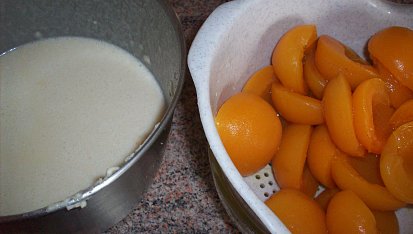 Hrníčkové meruňkové řezy, druhá polovina a meruňky