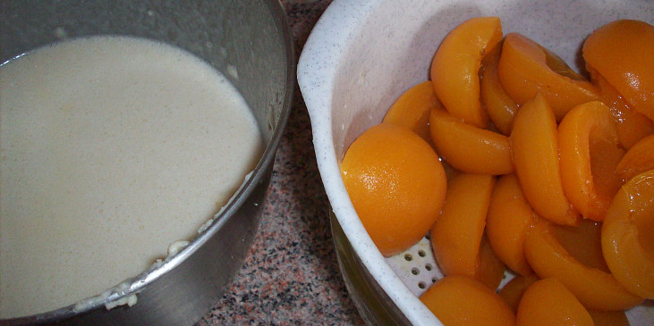 Hrníčkové meruňkové řezy (druhá polovina a meruňky)