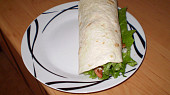 Rychlý gyros
