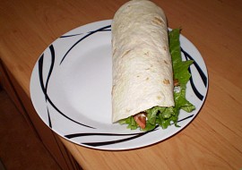 Rychlý gyros