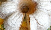 Kokosová sváteční bábovka (kokosová bábovka)