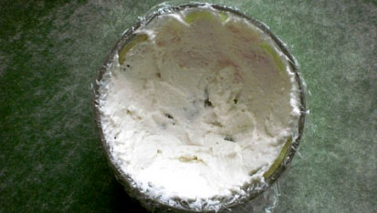 Želva jedlá